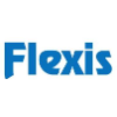 Flexis IT Logo