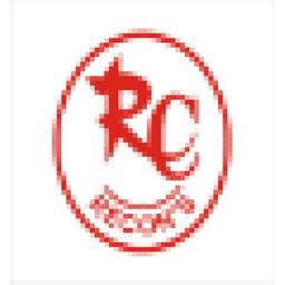 Recons Power Equipments Private Limited Logo