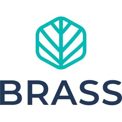 Brass Natural Products's Logo