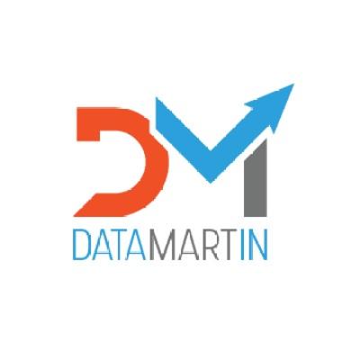 DataMartIn's Logo