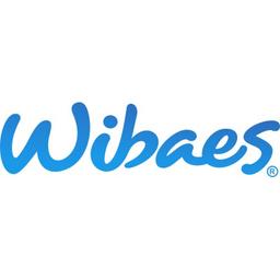 Wibaes Logo
