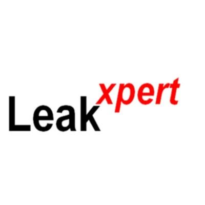 Leakxpert's Logo