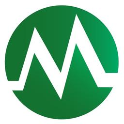 maximogroup consulting Logo
