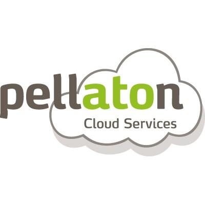 Pellaton Cloud Services's Logo