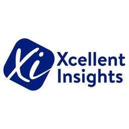 Xcellent Insights Logo