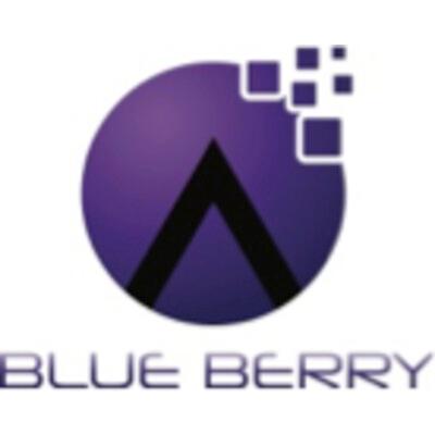 Blue Berry e-Services Private Limited's Logo