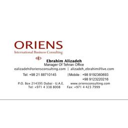 ORIENS INTERNATIONAL BUSINESS CONSULTING Logo