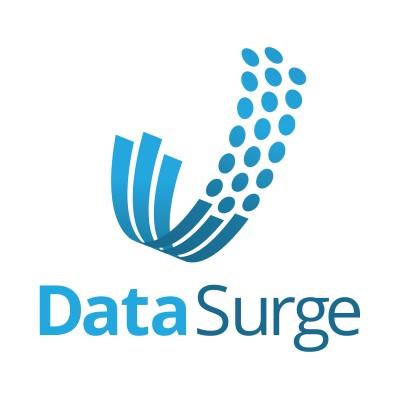 Data Surge LLC Logo