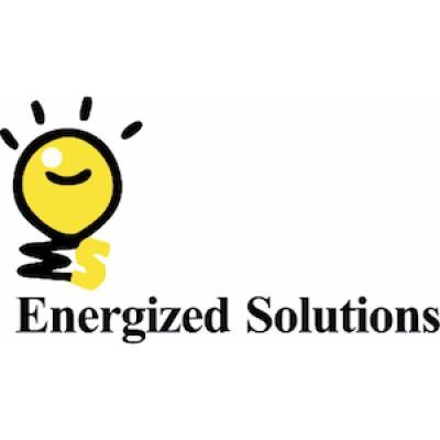 Energized Solutions India Private Limited Logo