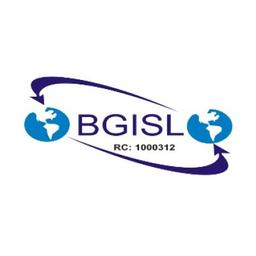 BESG GLOBAL INVESTMENTS AND SERVICES LIMITED - BGISL Logo
