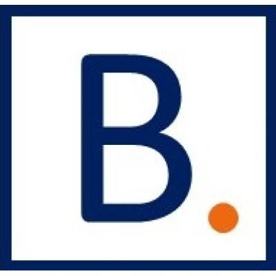 Blu Capital Partners Logo