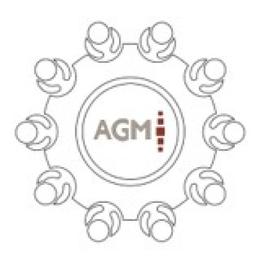 AGM Project Consulting Logo