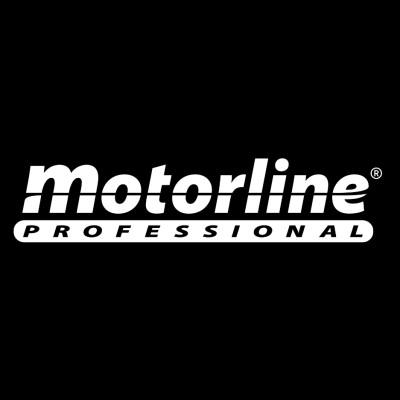 Motorline Professional Logo
