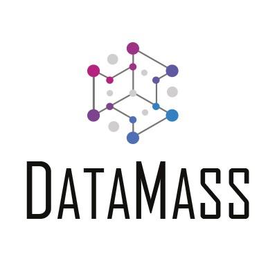 DataMass's Logo