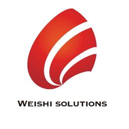 Weishi Solutions 威氏顧問有限公司 Logo