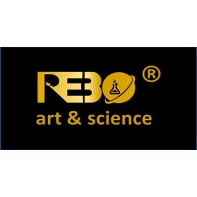 REBO SOLUTION Logo
