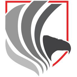 Eagle Eye International Protective Services Logo