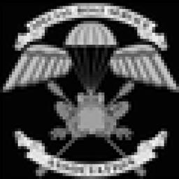 Ad Force Private Security Logo