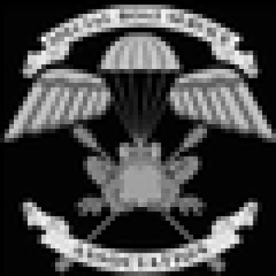 Ad Force Private Security Logo