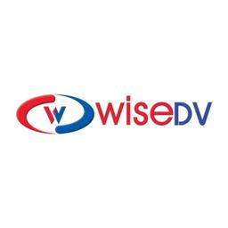 WISEDV INC. Logo