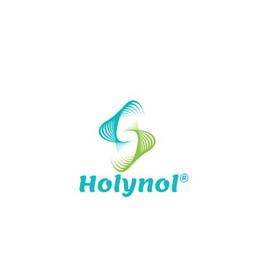 HolynolLabs Logo