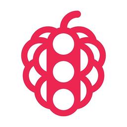 Raspberry Street Logo