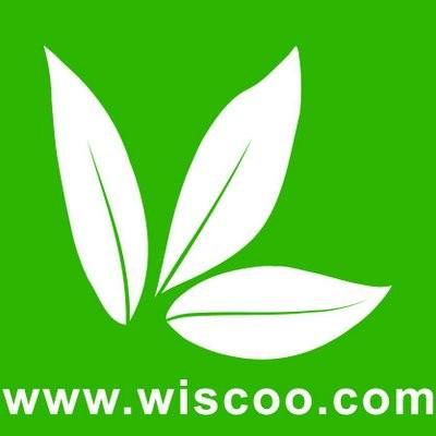 Wiscoo Electronics Company Limited Logo