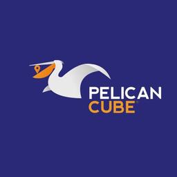 Pelican Cube (PVT) LTD Logo