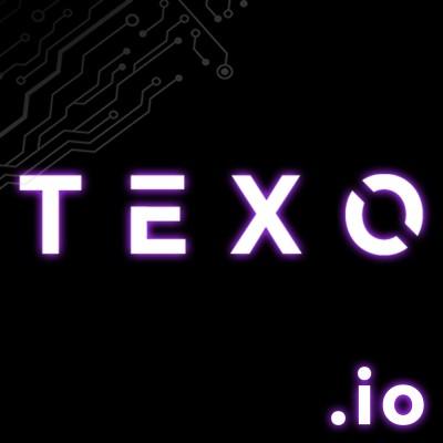 TEXO Enterprises Logo