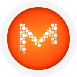 MEL-Technologies & Solution Ltd. Logo