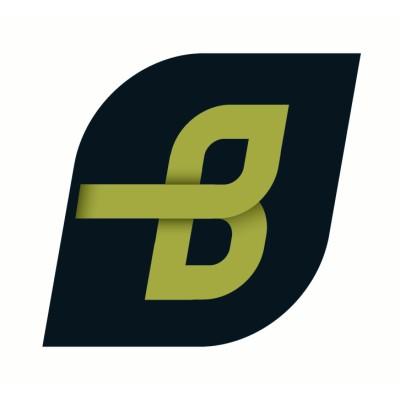 BI System Builders's Logo
