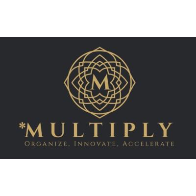 Multiply Engineering & IT Logo