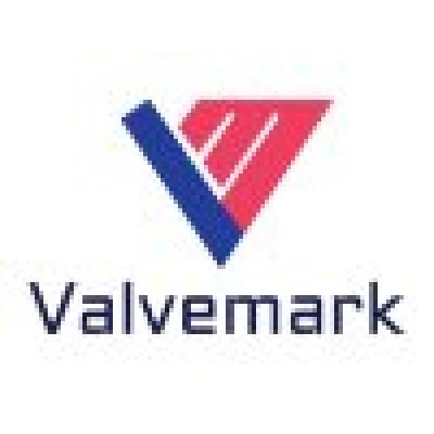 Valvemark Private Limited (Subsidiary of VALMARK DWC LLC Dubai) Logo