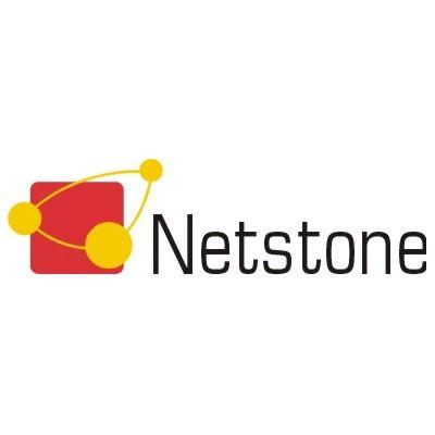 Netstone Application Security's Logo