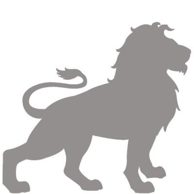 Lion IT Solutions LLC Logo