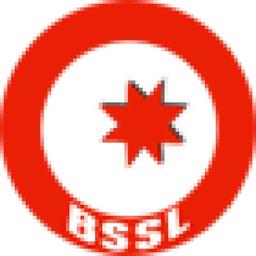 BS Shipping Lines Ltd Logo