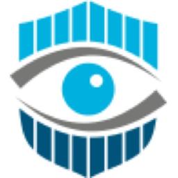 eNsite Security Consulting LLC Logo