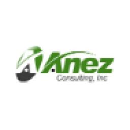 Anez Consulting Inc. Willmar Logo