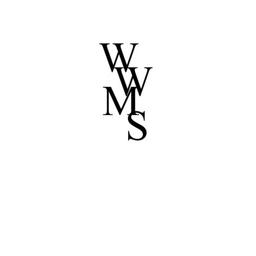 Webster's Wealth Management Solutions Logo
