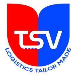 TSV GLOBAL SOLUTIONS PVT LTD Logo