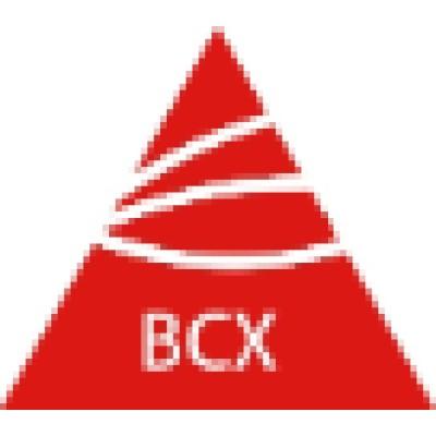 BCX Environmental Consulting Logo