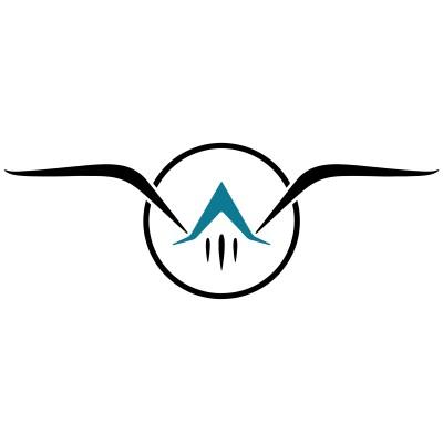 Nautical Wings Aerospace Logo