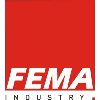 FEMA INDUSTRY Logo