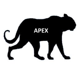Apex Cybersecurity Solutions Logo