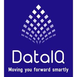 DataIQ Computer Systems Consultancies Logo