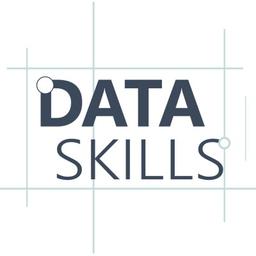 The Data Skills Consultancy Logo