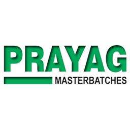 Prayagmb Logo