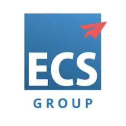 The ECS Group | Setting the Standard Logo