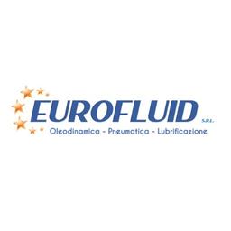 Eurofluid S.r.l Logo