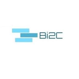 Bi2C Consulting Logo